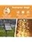 200 LED 72FT Solar Fairy String Lights – Waterproof Outdoor Twinkle Lights with 8 Modes for Patio, Garden, Tree, Christmas, Wedding, and Party Decor (Warm White)